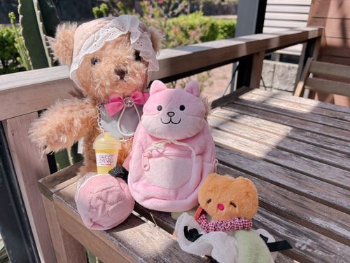 🧸リュックの中身❓えーとね、ままにけなみをととのえてもらうための くしと、ジュース🥤❣️すいぶんほきゅう だいじ！
