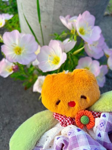 🌷＜🌸✨