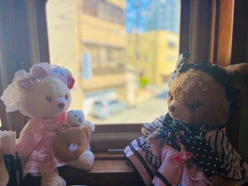 🧸🎶🧸 窓辺でおはなし✮*｡ﾟ