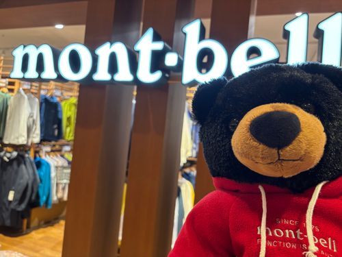 🧸はじめまして、ぼく もんべる からおむかえされた モンタベアの「ポラリス」です。ままさんは 「ぽーちゃん」ってあだなを つけてくれました！ポラリスは ほっきょくせいのことだよ～！