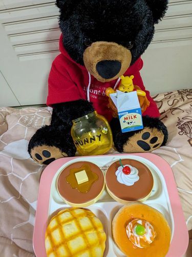 すぐにまた帰省するので一旦実家に預けてるぽーちゃん、おいしいもの食べてのんびりくつろいでいてとてもかわいい🥳(もちぬし)