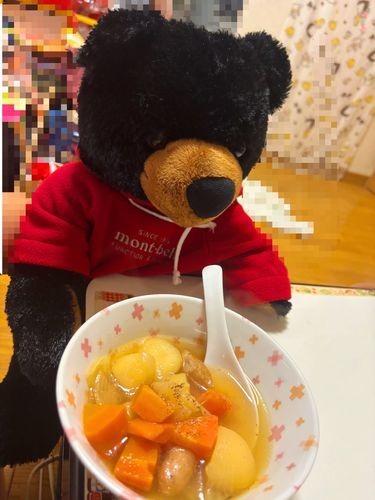 🧸おはよう！ ポラリス こと ぽーちゃんだよ！ ままの ままさんが作ってくれた おいしいスープ！ いただきます！