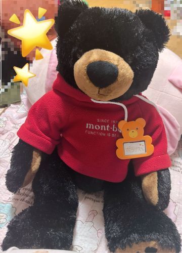 🧸くまの ポラリス こと ぽーちゃんです！ままの ままさんの おかたづけをしていて くまさんのなふだが でてきたから ぽーちゃんにって もらったんだよ！ままが おなまえ かいてくれたんだ～！ふふふ、うれしいな！