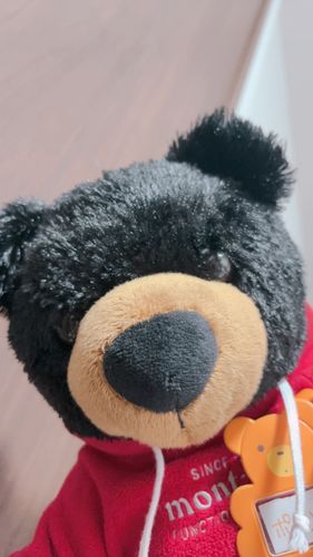 🧸ぽーちゃんです。まま きょうは おしごとで しょんぼりなことが あったみたい…。ぼくが いっぱい ぎゅっぎゅっ！して いやなこと やっつけるんだ！