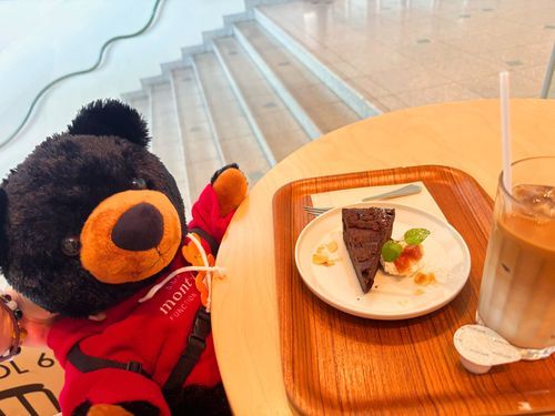 🧸ぽーちゃんの げいじゅつかんしょう その2 休憩は おしゃれなカフェ！ガトーショコラと カフェラテ おいしい～！