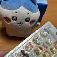 ハチワレ