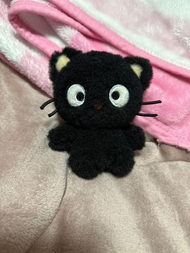 冬毛チョコくん