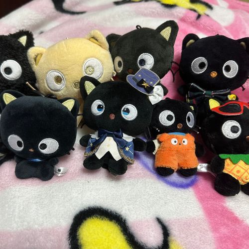 今日は黒猫の日です🐈‍⬛
