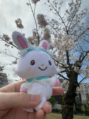 近所の公園のおさんぽ