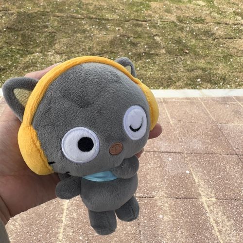今日はおさんぽびより