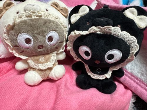 やっとお迎え出来た😭