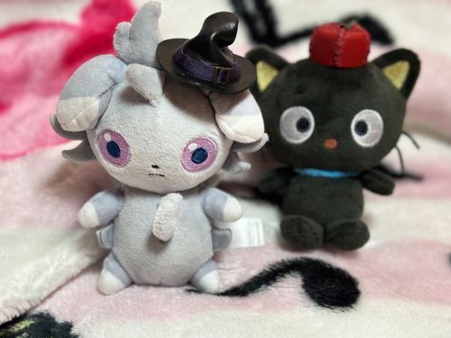 ぬいfes戦利品でおめかし✿.*･
