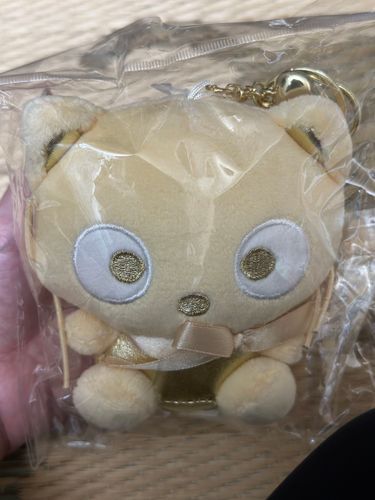 となりの国からやって来た金ピカチョコくん