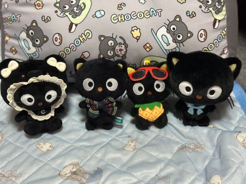 一日遅れだけど黒猫感謝の日