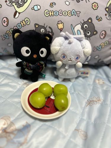 シャインマスカットﾆｬｽ