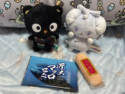 和歌山のお土産もらったよ