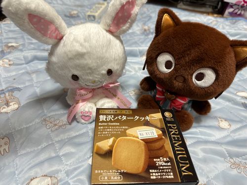 お買い物上手