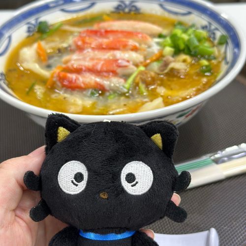 贅沢ラーメンにチョコくんもびっくり😳‼️