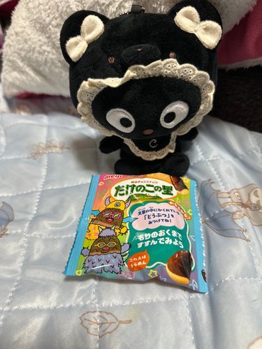 チョコくんはたけのこ派？