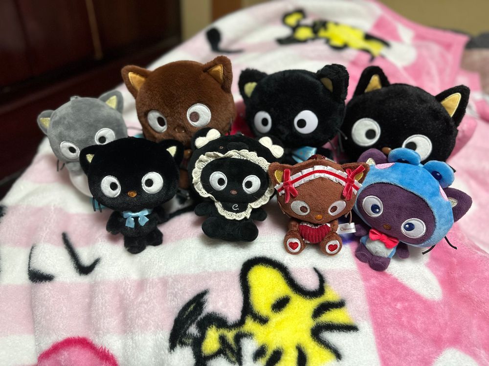 今日は黒猫の日です🐈‍⬛