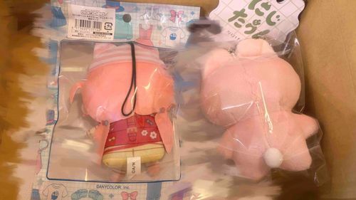 そういえば、うちにも来ましたよ