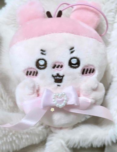 新入りです♡