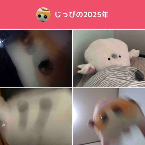 何がやねん