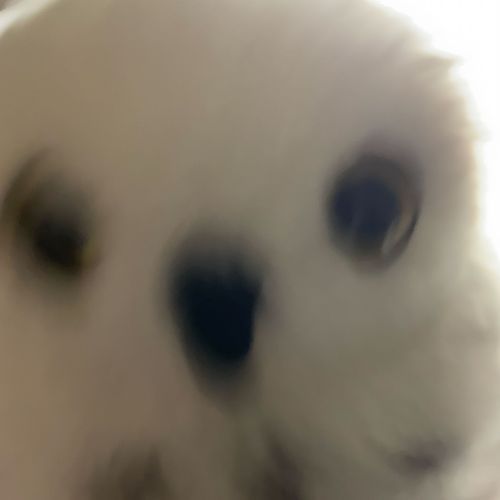 お　は　よ　う
