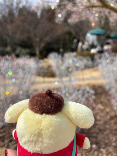 きれいだったヨ〜