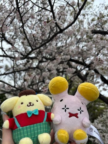 2ヶ月ぶりの再会🌸