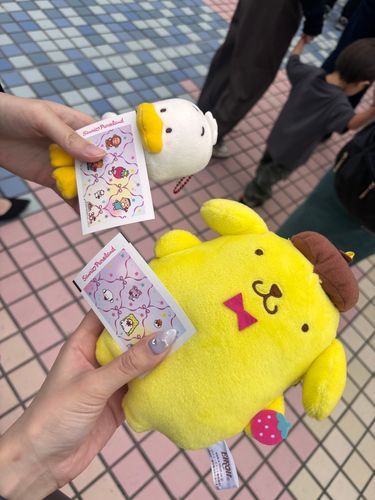 お友達のペックルと行ってきたよ〜🌟⋆꙳