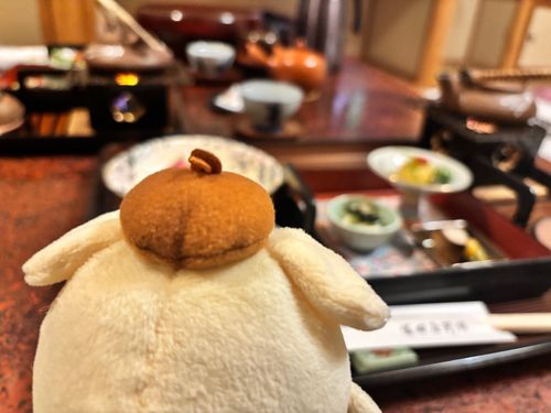 ダメって言われた……😠