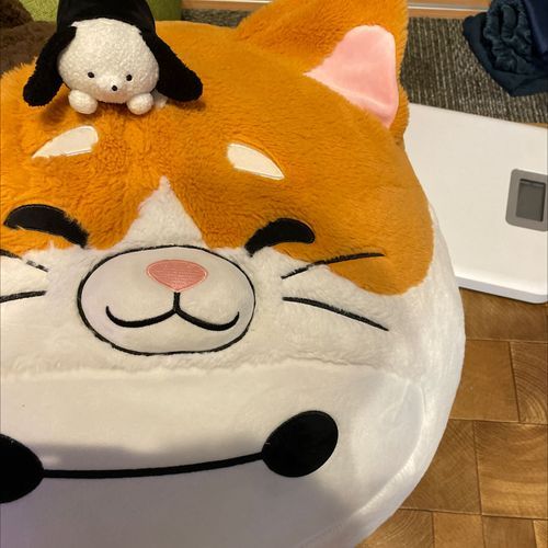 こんにちは😃