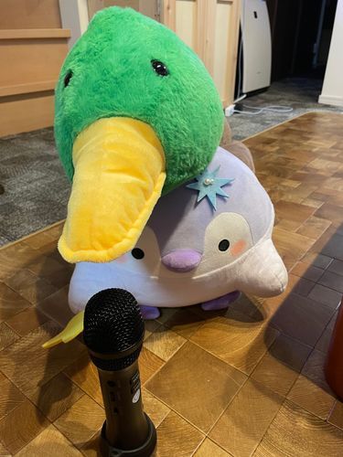 マイク🎤の取り合いっこ？
