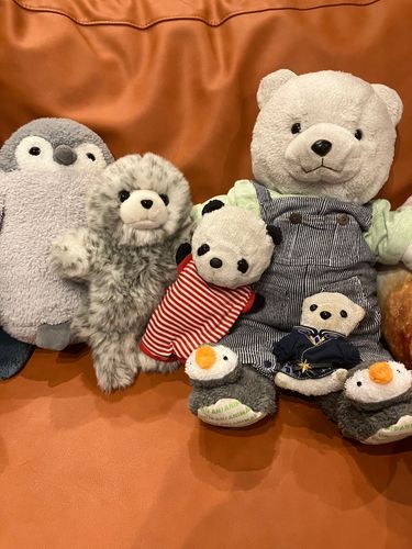 ５人組（かわいい）