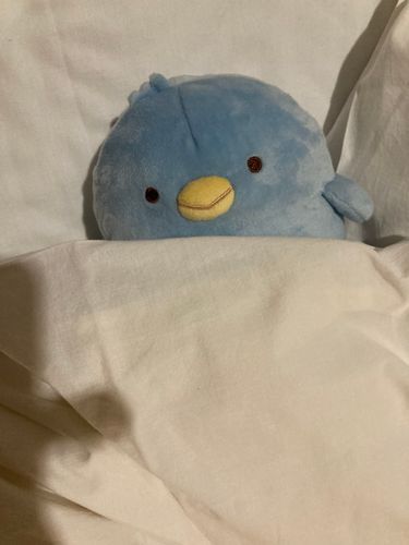 寝てた。
