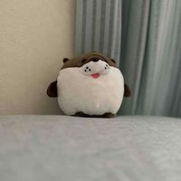 かわうちょ