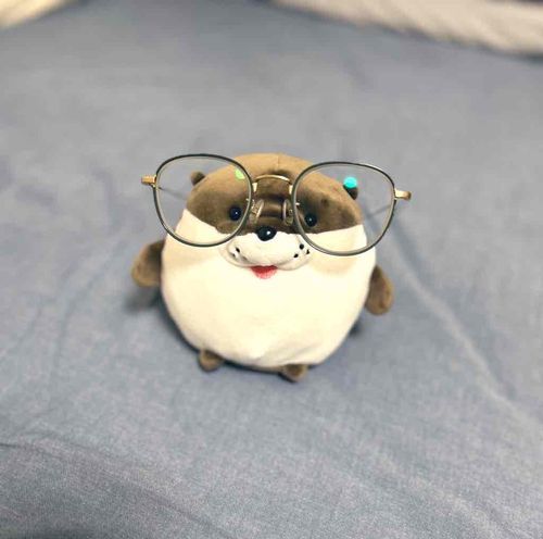 めがね　かけたよ