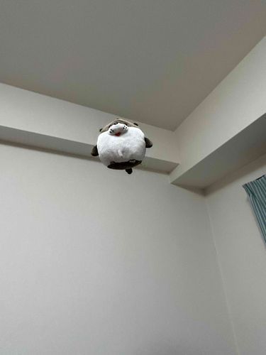 すぽーんっ