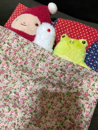 おやす〜♡こんやは
アルビノさんとかえるさんとひとつのおふとんだよ。