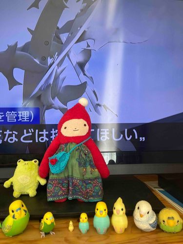 もうしょおみまいもうしあげます。もーさんとかぞくたちがすんでるさいたまけん。つゆあけしたよ。