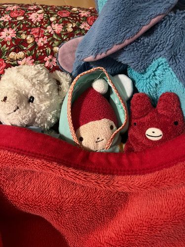 おやすみなさい💤