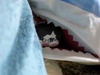 のぶもち
