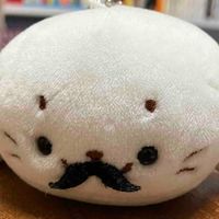 ぬいと日常