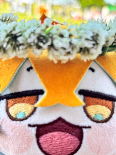 花冠をしてるぬい

#似合ってるね