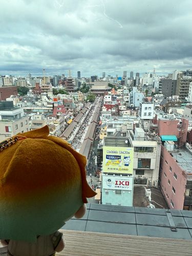 絶景を眺めるぬい

#怖くない？？大丈夫？？