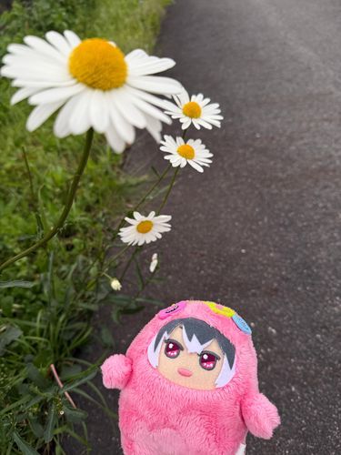 モンもも🍑
もももももっ！
モンゆきも連れてこようねっ！