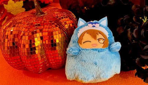 モフハロウィィーン🤍🎃