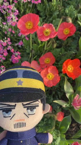 花と基🌸✌️
