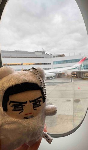 ✈️